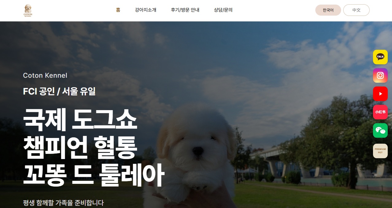 꼬통켄넬 1