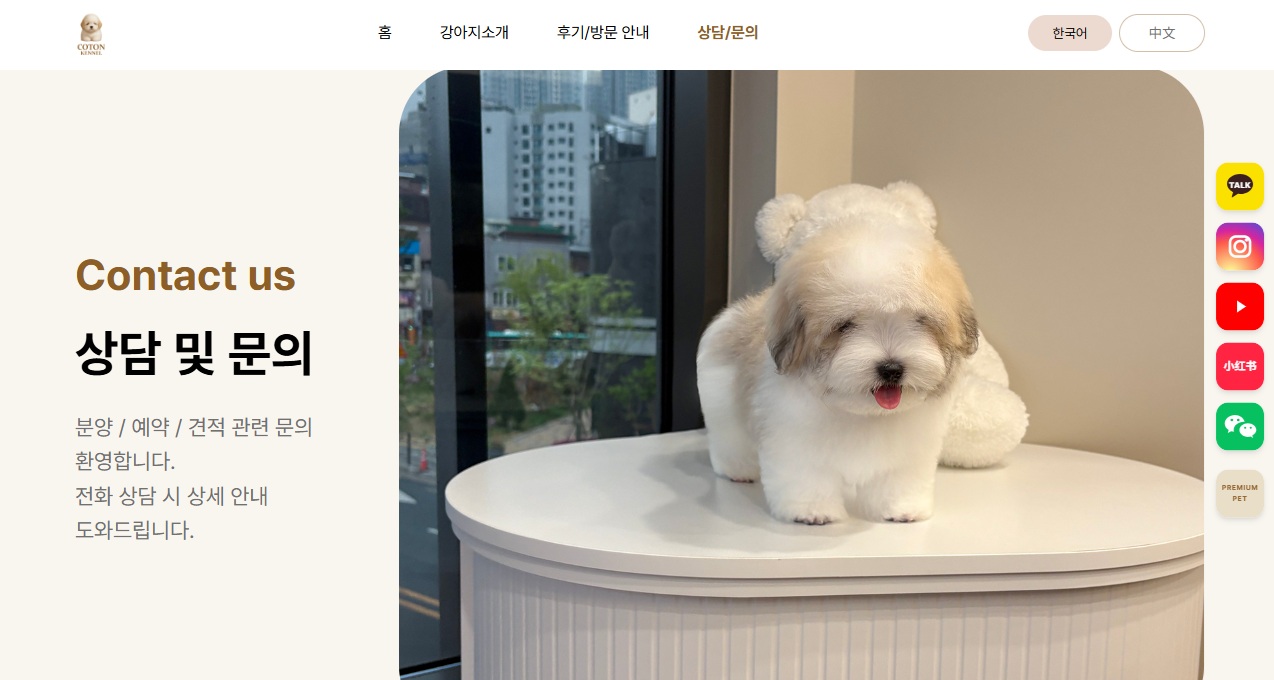 꼬통켄넬 5